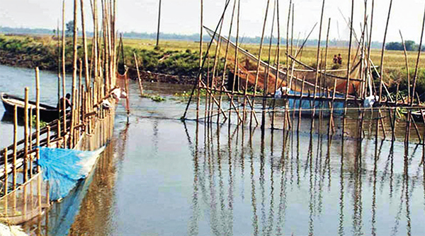 ছয় হাজার বিঘা জমিতে আবাদ অনিশ্চিত