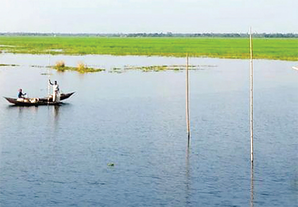 চলনবিলে রবিশস্য চাষাবাদ ব্যাহতের আশঙ্কা