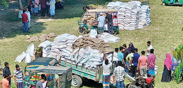 তিতাসে ১০ হাজার কৃষক পাচ্ছেন প্রণোদনা