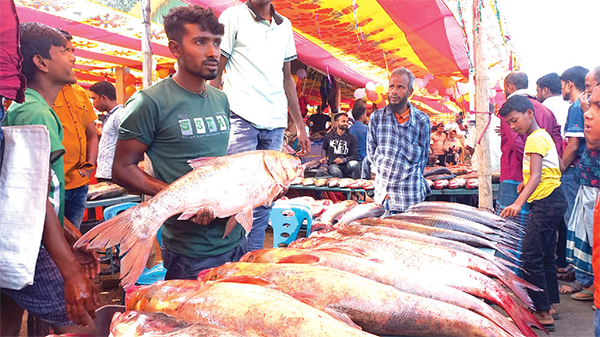 নবান্নে মাছের মেলা জমজমাট কেনাবেচা