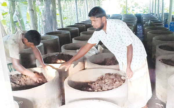 ভার্মি কম্পোস্টের বাণিজ্যিক উৎপাদনে ভাগ্য পরিবর্তন