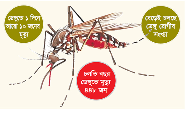 ভয়াবহ রূপে এডিস মশা