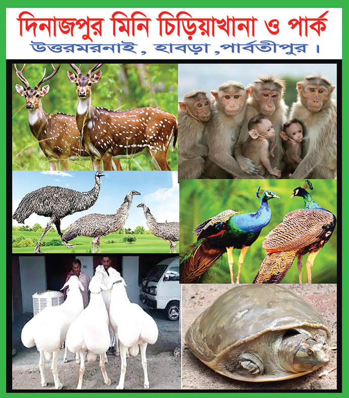 পার্বতীপুর ক্ষুদ্র জনপদে মিনি চিড়িয়াখানা