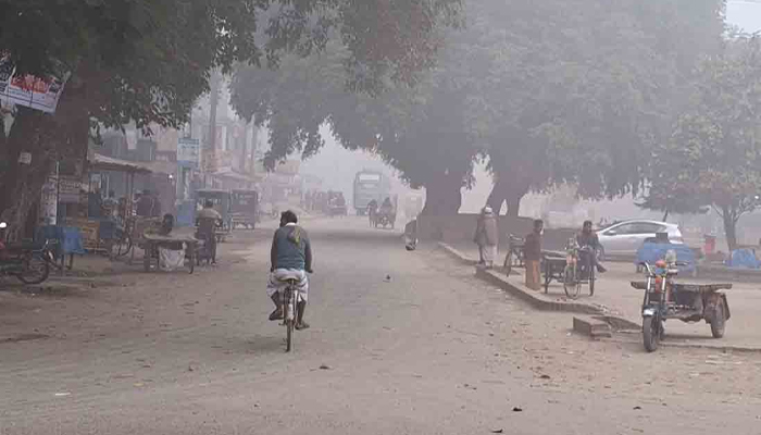 ঘন কুয়াশার সাথে পঞ্চগড়ে জেঁকে বসেছে শীত