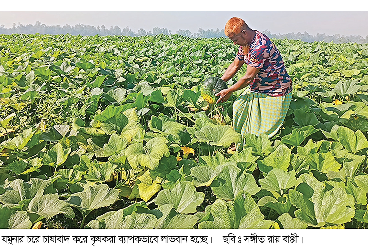 যমুনার বালুচরে কৃষিবিপ্লবে অর্থনৈতিক সচ্ছলতা