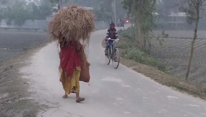 ফুলবাড়ীতে শীতে জনজীবনে ভোগান্তি