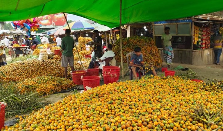 কক্সবাজারে  ৪০০ কোটি টাকা'র সুপারি বাণিজ্য