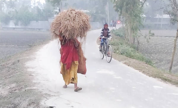 ফুলবাড়ীতে শীতে জনজীবন বিপর্যস্ত