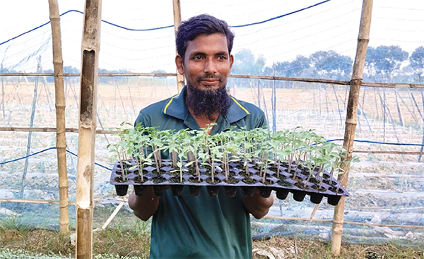 কোকোপিট চারায় বদলে যাচ্ছে কৃষি