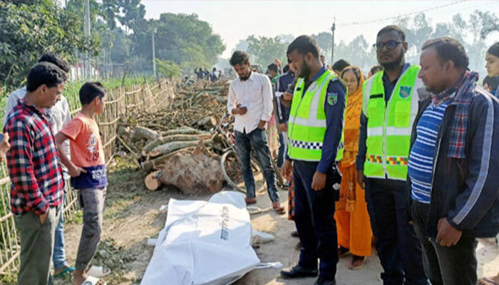 বীরগঞ্জে ট্রাকের ধাক্কায় দুই মোটরসাইকেল আরোহী নিহত