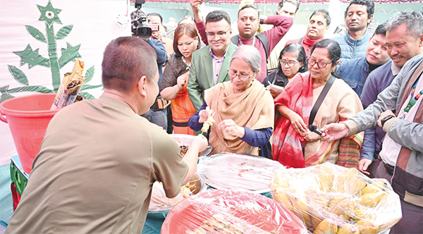 আধুনিক উৎপাদনের নামে সার ও কীটনাশক ব্যবহার করা হচ্ছে