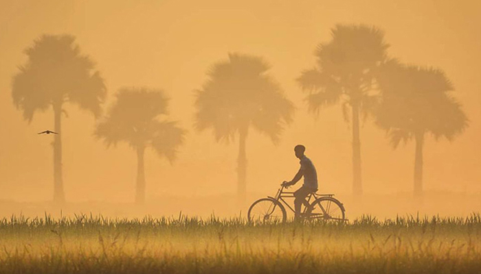 বাংলার শীতপ্রকৃতি