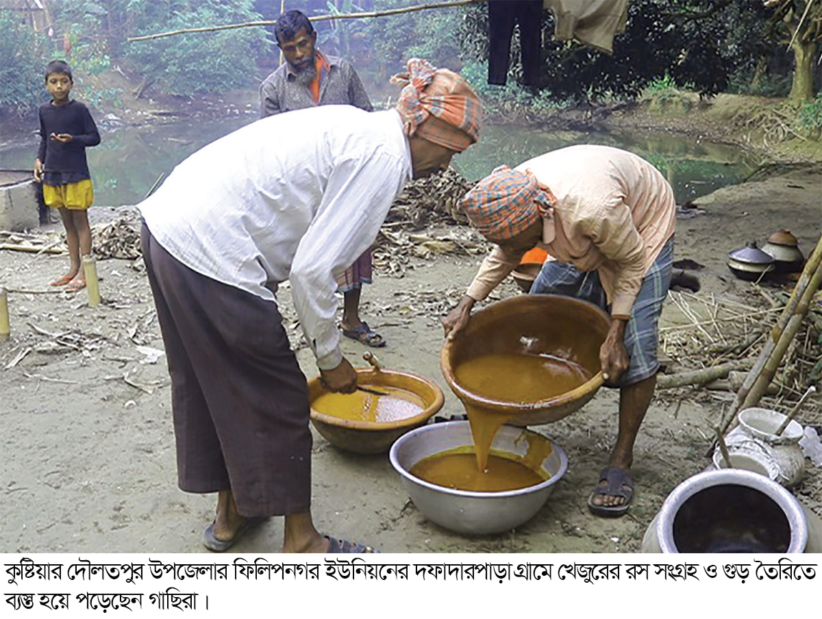 খেজুরের গুড় তৈরিতে ব্যস্ত গাছিরা