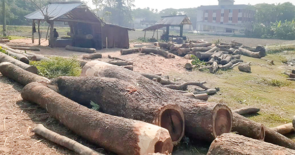 বিদ্যালয়ের সামনে ‘স’ মিলের ব্যবসা স্বাস্থ্য ঝুঁকিসহ দুর্ঘটনার শঙ্কা