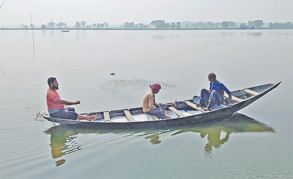 জলাবদ্ধ ৮০ বিলে বীজতলা তৈরি করতে পারছে না কৃষক