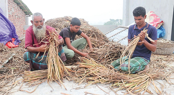 কচুরিপানায় বাড়তি আয়