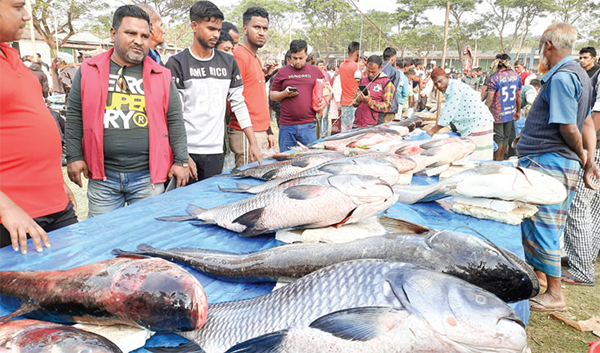 পইলের মাছের মেলা জমজমাট