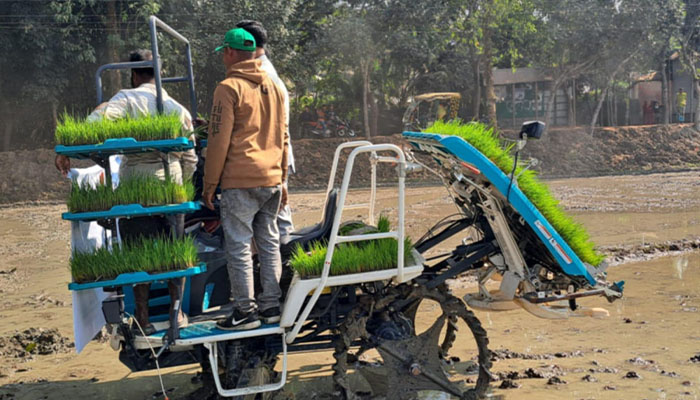 কটিয়াদীতে সমলয় পদ্ধতিতে যান্ত্রিক চারা রোপণের উদ্বোধন