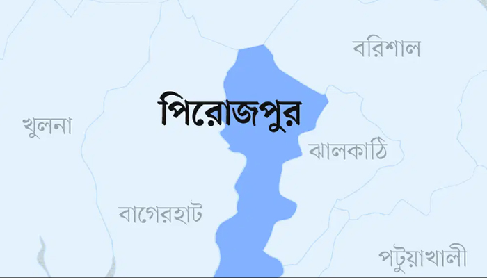 পিরোজপুরে চোরের উপদ্রব; আতঙ্কে গ্রামবাসী