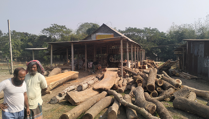 ঈশ্বরগঞ্জে অবৈধ করাতকলের ছড়াছড়ি, নীরব ভূমিকায় প্রশাসন 