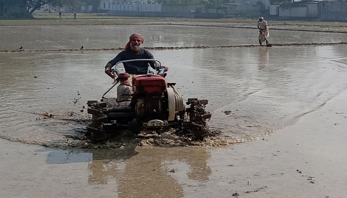 সিরাজগঞ্জে ইরি-বোরো চাষাবাদে ব্যস্ত সময় পার করছে কৃষকেরা