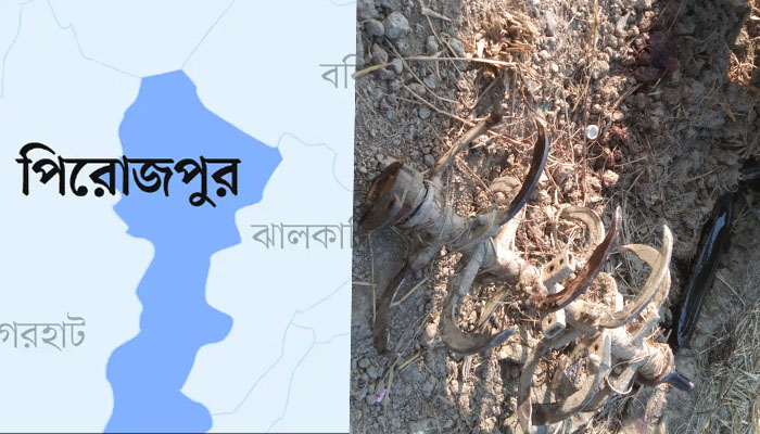 ইন্দুরকানীতে ট্রাক্টরের ফালে ক্ষতবিক্ষত হয়ে কিশোরের করুণ মৃত্যু