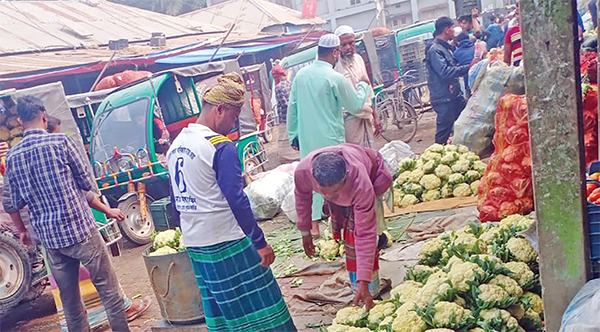 তাড়াইলে ফুলকপির কেজি ৩ টাকা