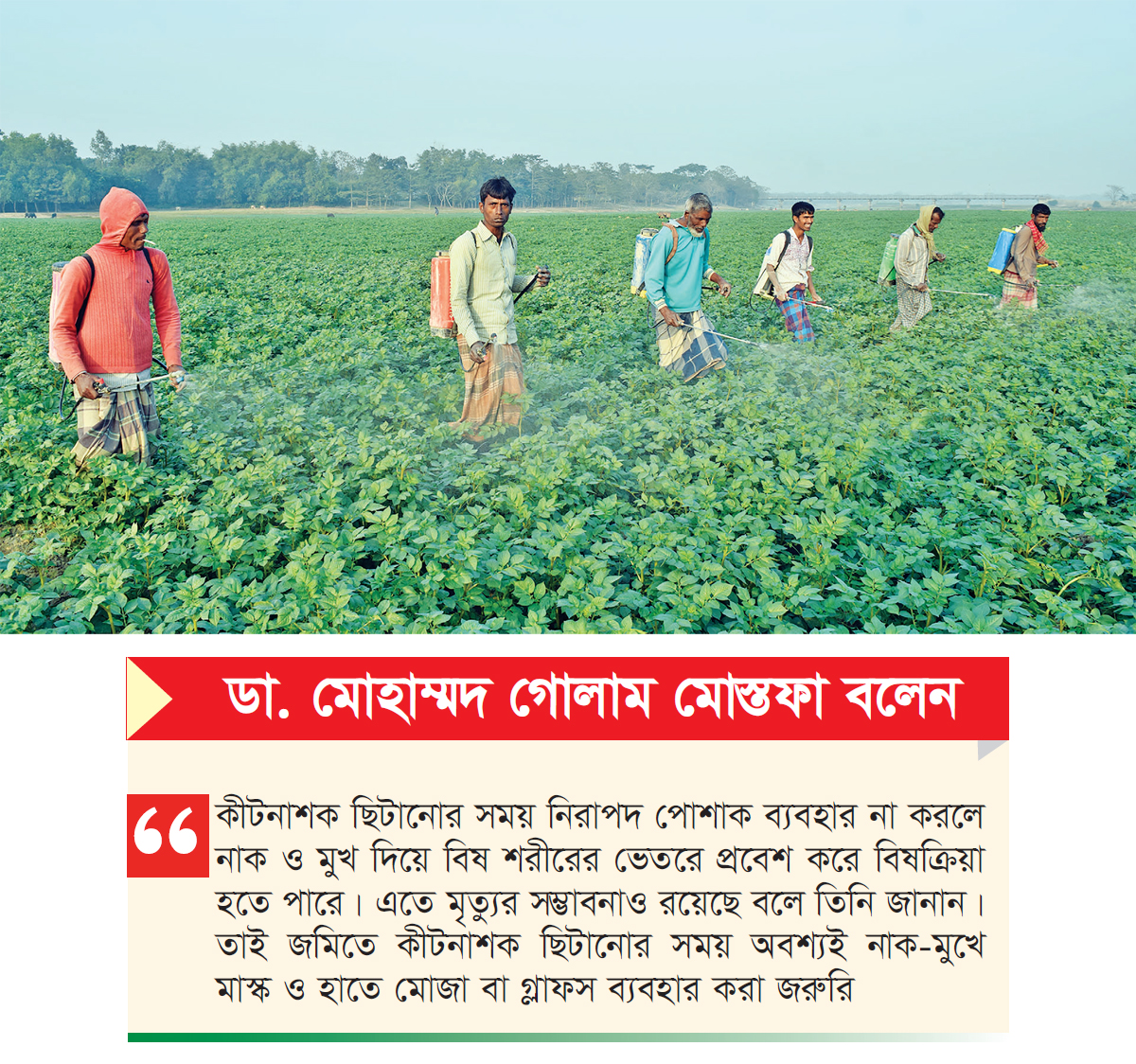 কীটনাশক ব্যবহারে অসচেতনতা স্বাস্থ্য ঝুঁকিতে কৃষক