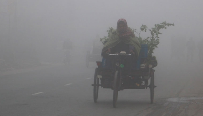 ৮ ডিগ্রির ঘরে নামলো নওগাঁর তাপমাত্রা