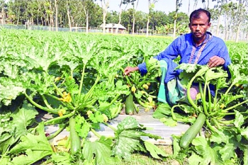 ম গ র য স ক য শ চ ষ ক ষক জ ল ল উদ দ ন র স ফল য