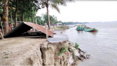 যমুনায় ড্রেজারে বালু উত্তোলনে ধ্বসে পড়ছে গাইড বাঁধ 