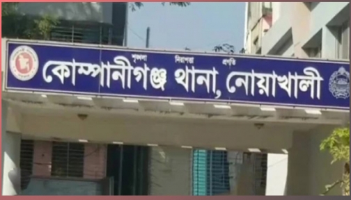 কোম্পানীগঞ্জে নবজাতক ও গৃহবধূর মরদেহ উদ্ধার