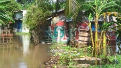 অতিবৃষ্টিতে সাতক্ষীরায় প্লাবিত ৮০টি গ্রাম, পানিবন্দি লক্ষাধিক মানুষ