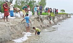 কালজানী নদে ভয়াবহ ভাঙন বসতবাড়ি-ফসলি জমি বিলীন  