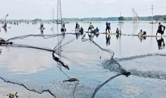 কেশবপুরে বন্যায় মৎস্য খাতে ব্যাপক ক্ষতি  