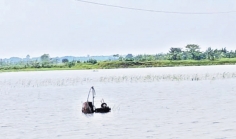 জলাবদ্ধতায় ফসলের ব্যাপক ক্ষতি, খাল সংস্কারের দাবি    