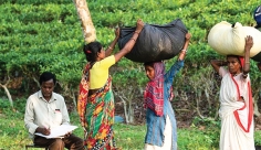 অধিকার বঞ্চিত নির্মাণ, চা ও ঘের শ্রমিকরা  