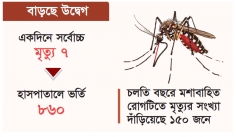 ভয়াবহ হচ্ছে ডেঙ্গু    