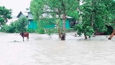 মনপুরায় বেড়িবাঁধ না থাকায় ঝুঁকিতে অর্ধলাখ মানুষ 