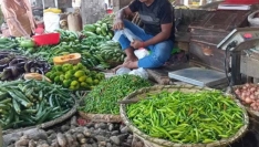 বীরগঞ্জে কাঁচামরিচের কেজি প্রতি দর ৪০০ টাকা