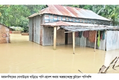 ধোবাউড়ায় বন্যা পরিস্থিতির অবনতি, ত্রাণ অপ্রতুল  