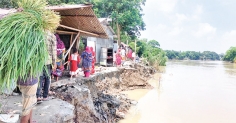 তিতাসে বন্যায় ৫৬ কোটি টাকার ক্ষয়ক্ষতি  