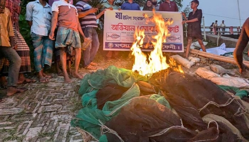 সোনাগাজীতে ৩২ হাজার মিটার অবৈধ জাল ধ্বংস