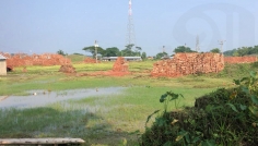 বানারীপাড়ায় আদালতের আদেশ অমান্য করে ইট বিক্রির অভিযোগ