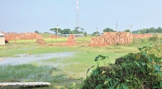 আদালতের আদেশ অমান্য করে ইট বিক্রির অভিযোগ  