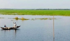 সিরাজগঞ্জে চলনবিল অঞ্চলে রবি শস্য চাষাবাদ ব্যাহতের আশংকা