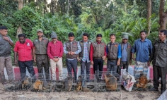 মহেশখালীতে ১২ মুখপোড়া হনুমান উদ্ধার করে অবমুক্ত করল বন বিভাগ