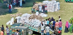 তিতাসে ১০ হাজার কৃষক পাচ্ছেন প্রণোদনা  