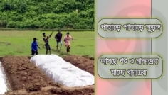 সীমান্তে চোরাচালান, ব্যবহার হচ্ছে ভারী অস্ত্র