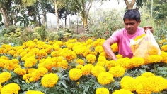 শখের নার্সারী থেকে এখন বছরে সঞ্চয় লাখ টাকা